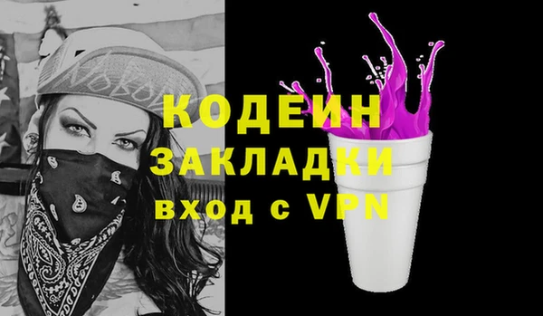 индика Бронницы