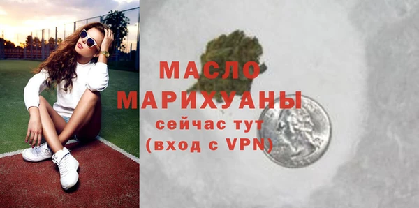 индика Бронницы