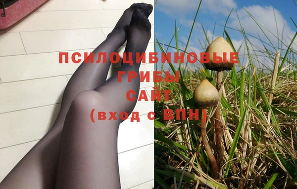 индика Бронницы