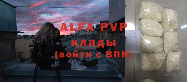 индика Бронницы