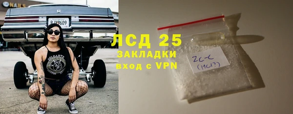 индика Бронницы