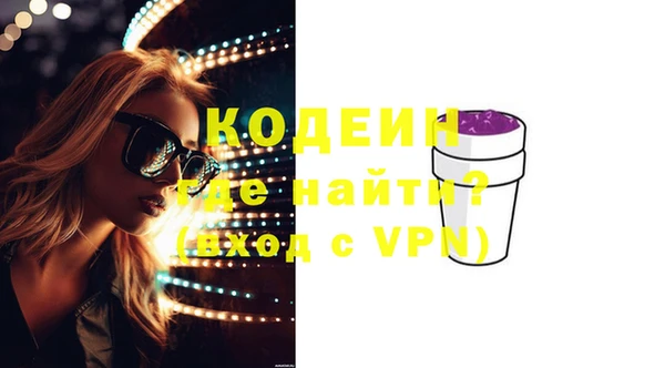 индика Бронницы