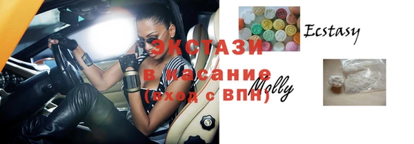 индика Бронницы
