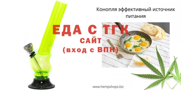 индика Бронницы