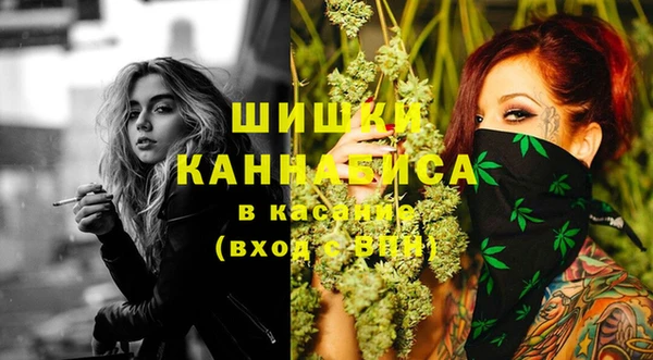 прущая мука Бородино