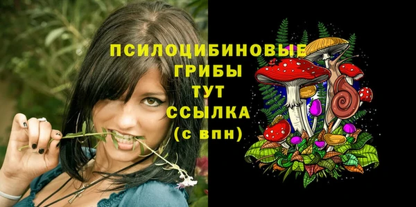 индика Бронницы