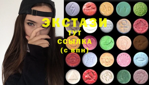 индика Бронницы