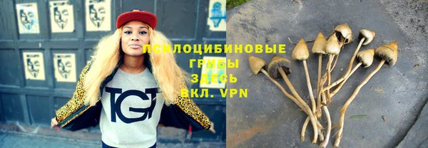 индика Бронницы