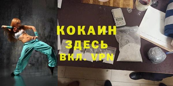 индика Бронницы