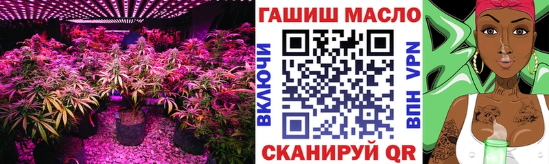 Дистиллят ТГК THC oil  мега онион  Арзамас 