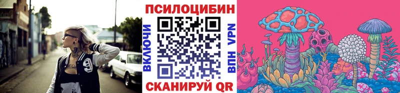 Галлюциногенные грибы Psilocybine cubensis Арзамас